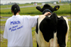 Milchbauern demonstrieren in Sachsen für höhere Milchpreise